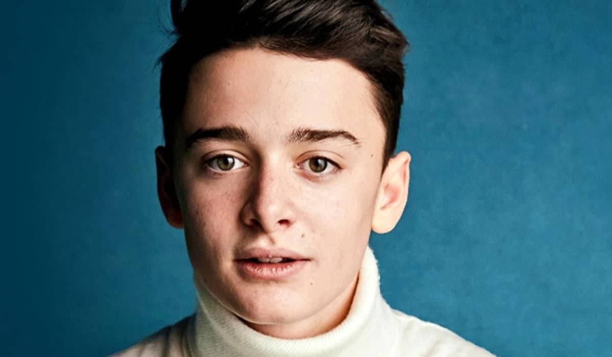 Noah Schnapp, de 'Stranger Things', conta que é gay em vídeo na web