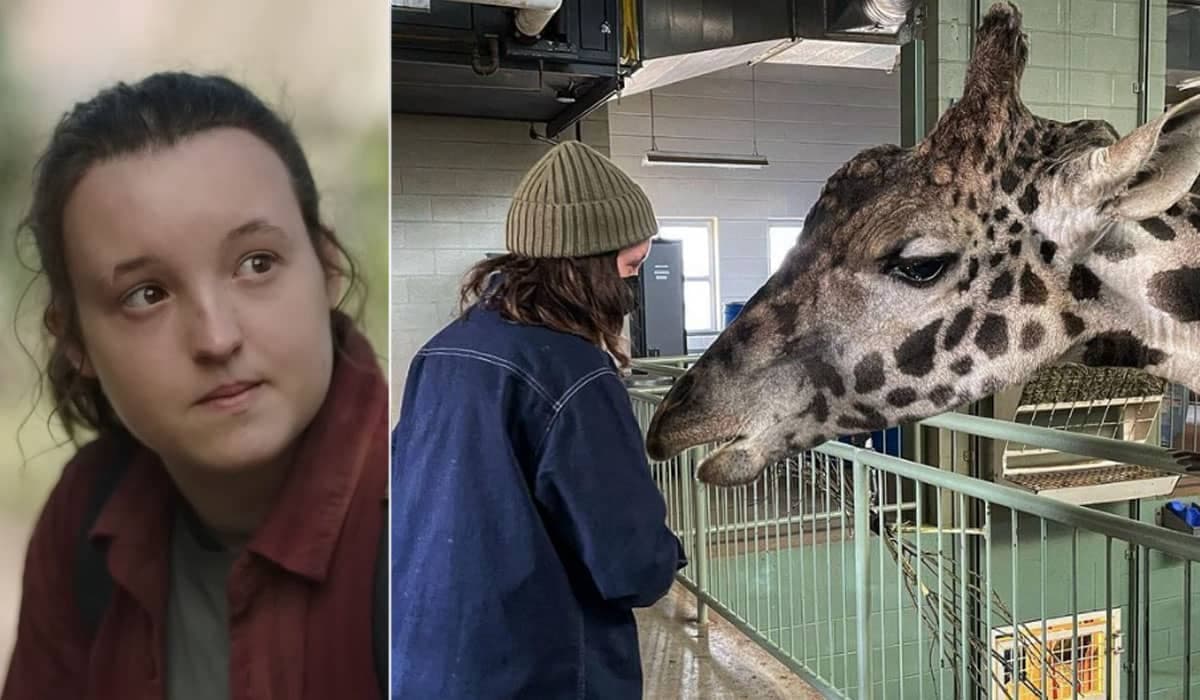 Bella Ramsey mostra girafa real de The Last of Us em foto dos bastidores